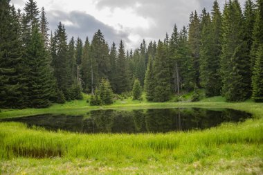 uzakta ormanda bulunan pitoresk küçük göl