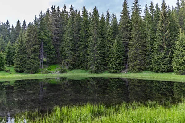 uzakta ormanda bulunan pitoresk küçük göl