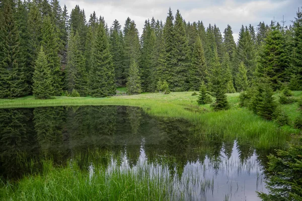 uzakta ormanda bulunan pitoresk küçük göl