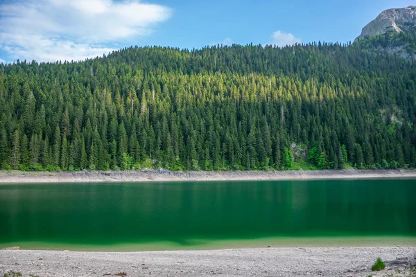 Wspaniałe Jezioro Czarne Parku Narodowego Durmitor Północ Czarnogóry — Zdjęcie stockowe