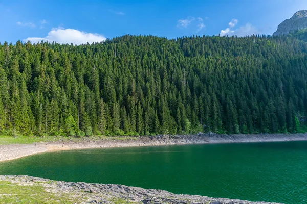 Magnifico Lago Nero Nel Parco Nazionale Durmitor Nel Nord Del — Foto Stock