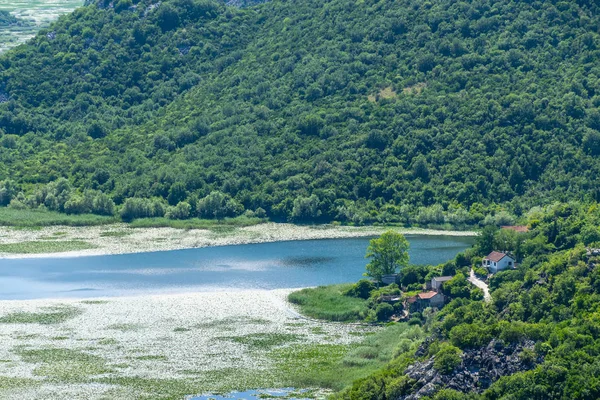 风景如画的 Crnojevic 河在山间流淌 — 图库照片