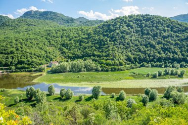 Pitoresk yemyeşil dağlar arasında akan nehir akar.