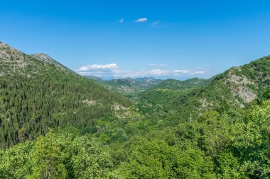 Pitoresk yemyeşil dağlar arasında akan nehir akar.