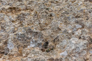 Deniz deki kuru taşın yüzeyi.