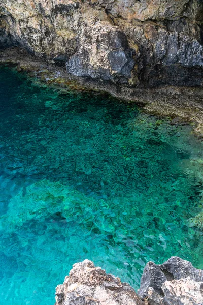 Costa Rocosa Del Mar Mediterráneo Isla Chipre — Foto de Stock