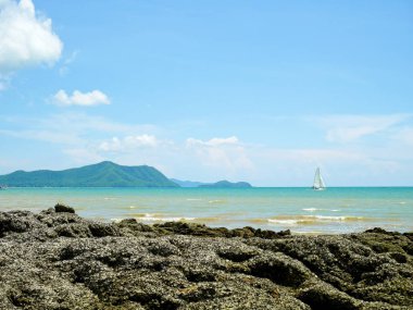 Yaz aylarında Yelkenli tekne ile dağ ve deniz çok oy alan