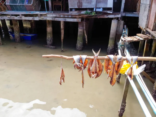 Local People Drying Fish Sun Sea Koh Chang Thailand — Stock Photo, Image