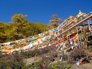 Akciğer ta dua bayrakları Yading, Sichuan, Çin