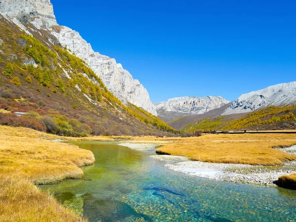Luorong otlaklar altın çayır, kristal berraklığında su ve renkli dağ Yading doğa rezerv, Sichuan, Çin