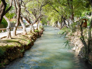 Kanal ve ağaçları ile yol parkta kanal boyunca akan temiz su toplayan
