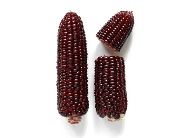 Purple corn or purple maize isolated on white background