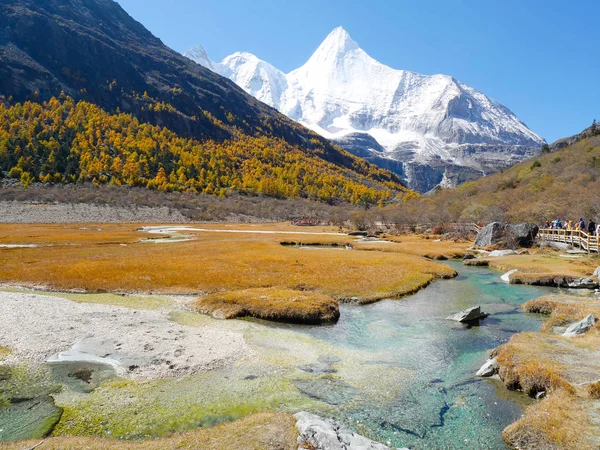 Renkli Chonggu Çayır Yading Doğa Rezerv Sichuan Çin Için Arka — Stok fotoğraf
