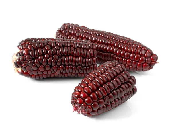 Maíz morado o maíz morado —  Fotos de Stock