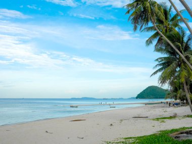 İnsanlar güzel plajda rahatlatıcı