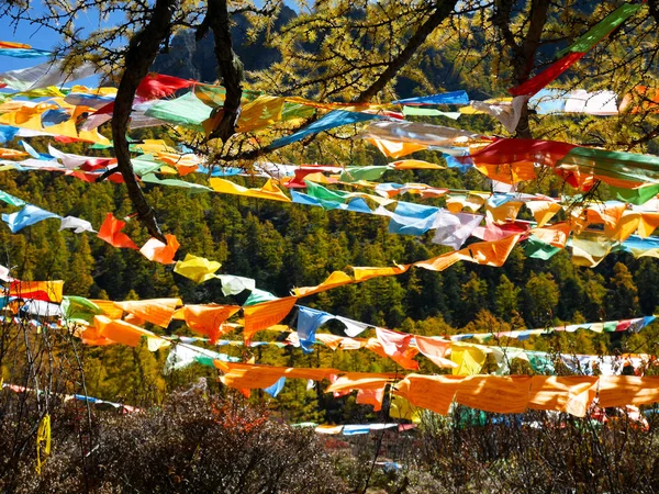 Drapeaux de prière colorés avec de belles feuilles d'automne dans le backgr — Photo