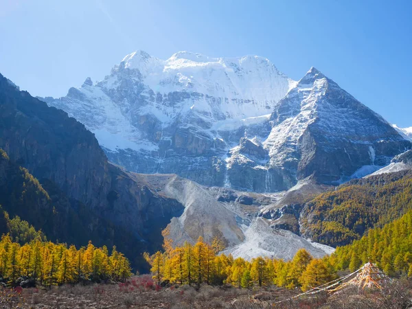 Yadin renkli sonbahar yaprakları ile kar kaplı dağ zirveleri — Stok fotoğraf