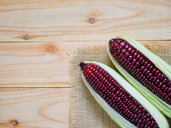 Maíz morado o maíz morado — Foto de Stock