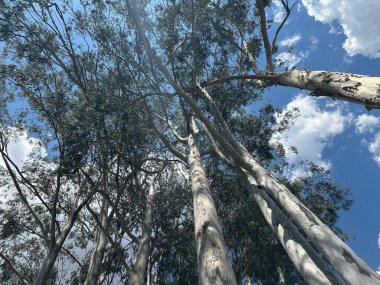 Doğanın güzel manzarası