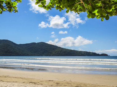 Arka planda orman tepeleri ile güneşli bir günde plaj manzara.