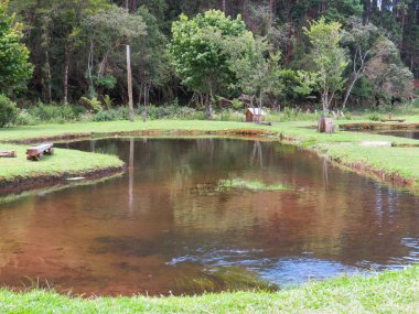 15 Ocak 2015 Campos Jordao, Sao Paulo, Brezilya, göl güneşli günde banklar ve bahçe ile balıkçılık için yapmak..