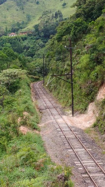Pohled Železnici Kácející Les Lesy Kolem Opuštěné — Stock fotografie