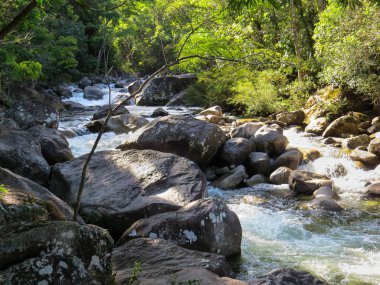 Dere taşları, güneşli bir gün ormanda ile küçük şelale.
