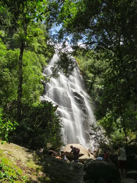Janeiro 2016 Itatiaia Rio Janeiro Brasil Floresta Com Cachoeira Veu — Fotografia de Stock