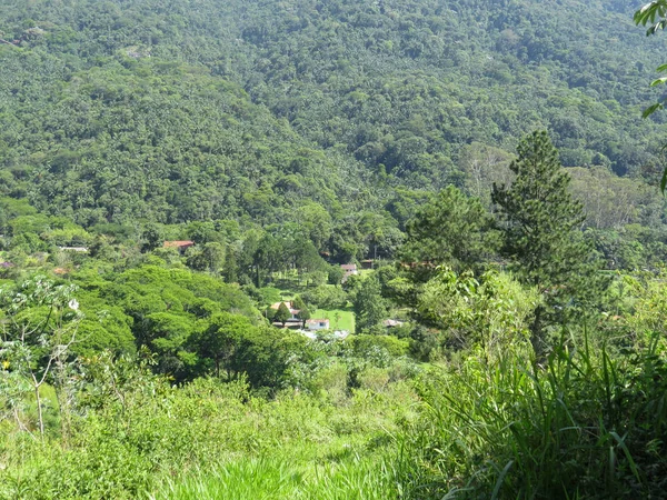 Vista Del Valle Verde Con Bosque Fondo Día Soleado — Foto de Stock