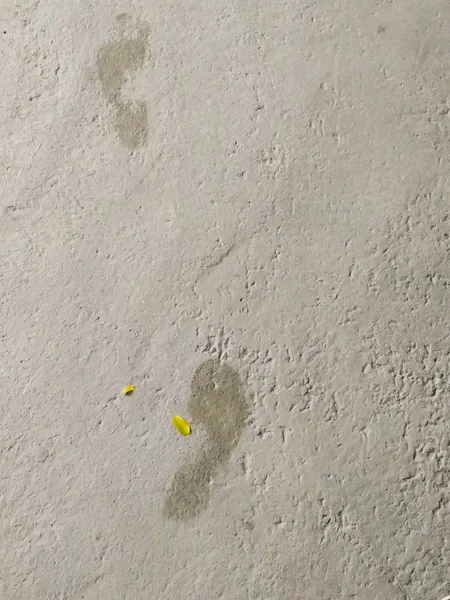 Blick Von Oben Auf Menschliche Fußabdrücke Feucht Auf Zementboden Und — Stockfoto