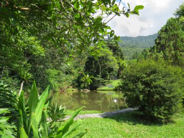 8 Ocak 2016, Itatiaia, Rio de Janeiro, Brezilya, ormana küçük bir sığınak, sakin göl.