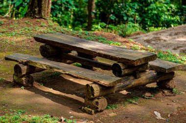 Kırsal ahşap piknik masası bir ormanda.