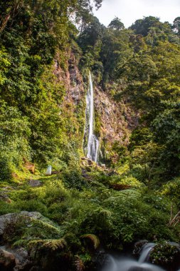 Uzun şelale yemyeşil bir orman uçurumundan aşağı dökülüyor..
