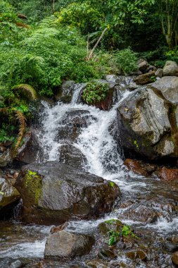 Küçük bir şelale yemyeşil bir ormanda kayaların üzerinde şelale gibi akıyor..