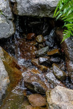 Etrafı yeşilliklerle çevrili kayaların üzerinden akan küçük şelale..