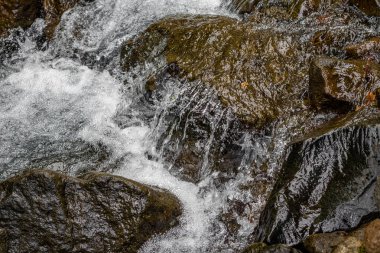 Kayaların üzerinde çağlayan küçük bir şelaleye yakın çekim.
