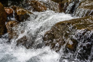 Kayaların üzerinde çağlayan küçük bir şelaleye yakın çekim, beyaz köpük oluşturur..