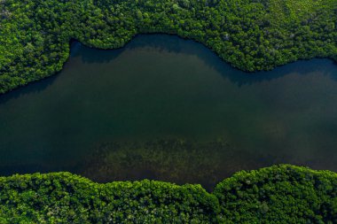 Bereketli yeşil bitki örtüsüyle çevrili sakin bir nehrin havadan görünüşü doğanın güzelliğini gözler önüne seriyor.