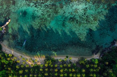 Temiz turkuaz suyu, kıyıda palmiye ağaçları ve suda küçük bir tekne olan tropik bir sahil manzarası.