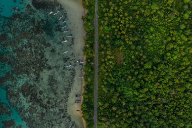 Bereketli yeşil bir ormanın yanındaki kıyı yolunun havadan görünüşü ve rıhtımda tekneleri olan berrak mavi su.