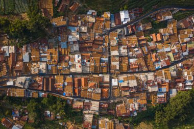 Kimileri kiremitlerle kaplı, kimileri yeşil yapraklarla çevrili yoğun nüfuslu kentsel alanın havadan görüntüsü.