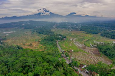 Bulutlu gökyüzünün altında yemyeşil tarlaların ve dağların havadan görünüşü