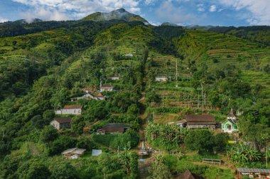 Bulutlu bir gökyüzünün altında tarlaları, evleri ve ağaçları olan yemyeşil bir tepe köyünün havadan görünüşü.