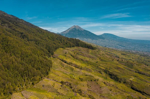Bereketli yeşil tarlaların havadan görünüşü açık mavi gökyüzünün altında dağlarla çevrili.