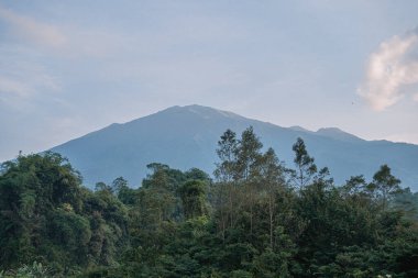 Berrak bir gökyüzünün altında yemyeşil ve ağaçlarla çevrili görkemli bir dağ zirvesi.