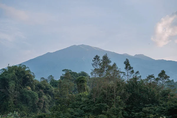 Berrak bir gökyüzünün altında yemyeşil ve ağaçlarla çevrili görkemli bir dağ zirvesi.