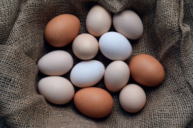 Kırsal bir çuval bezi kumaşına yerleştirilmiş çeşitli boylarda ve renklerde tavuk yumurtalarının yukarıdan görünüşü. Doğal tarım taze yiyecek ve organik protein konsepti