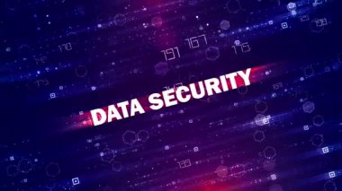 Veri Güvenliği teknik geçmişi