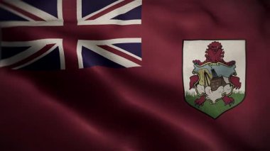 Bermuda Dalgalı Bayrağı