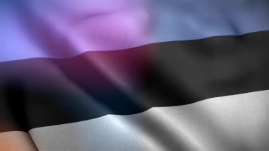Estonya Rüzgarda Dalgalı Bayrak Yavaş Hareket Eden Resmi Bayrak